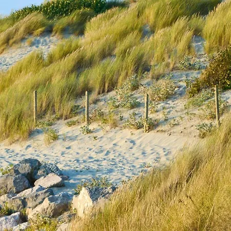 Dom wakacyjny 2 Bedroom Lovely In *