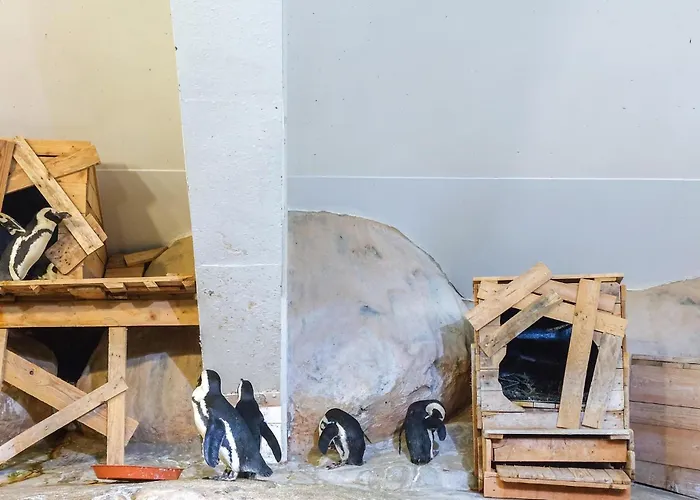 2 Bedroom Lovely In بيت للعطل Longvilliers (Pas-de-Calais)